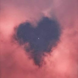 Meet your Posher, Bipana